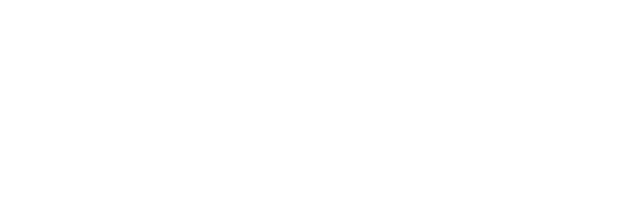 Logo Of Safeguard NEMT